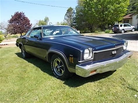 73 chevelle ss 454 for sale|1973 chevelle ss pics.